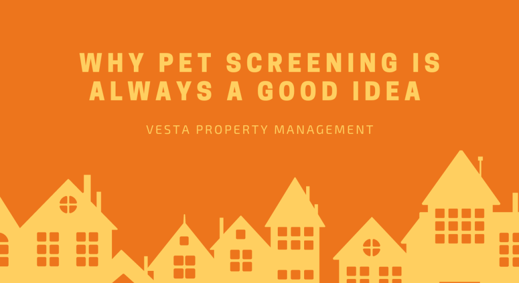 Why Pet Screening Is Always a Good Idea