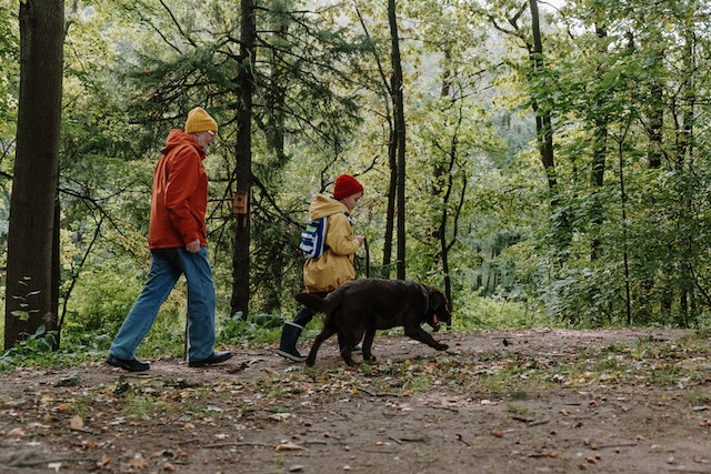 tenant-walking-dog-in-forest